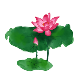荷花元素
