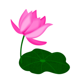 荷花元素
