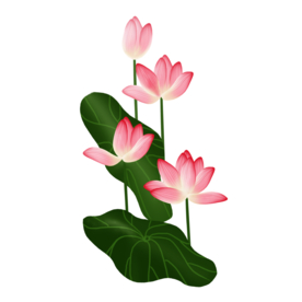 荷花元素