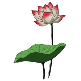 荷花元素