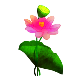 荷花元素