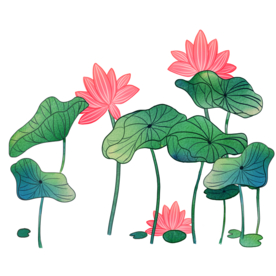 荷花元素