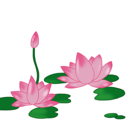 荷花元素