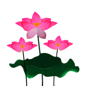 荷花元素