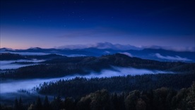 森林夜景