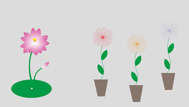 花