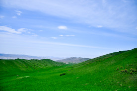 蓝天下的草原风景