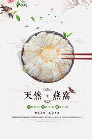 燕窝养生海报