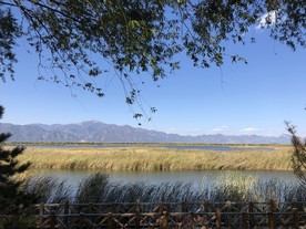 野鸭湖