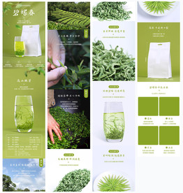 碧螺春茶叶详情模板