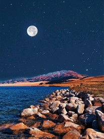 大海月亮