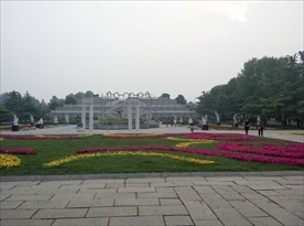 花圃