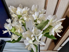 姜花