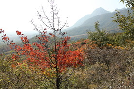 嵩山秋色