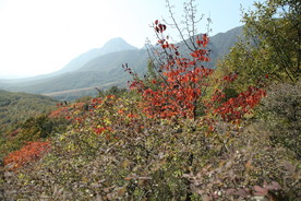 嵩山秋景