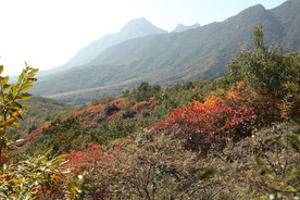 嵩山秋景