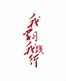 我学习我践行