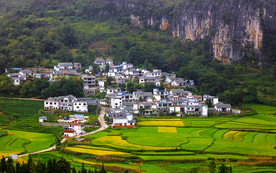 美丽的乡村风景