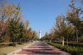 公园道路