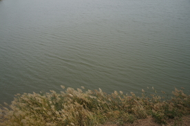 河边