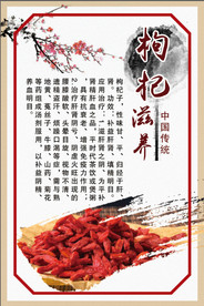 枸杞养生