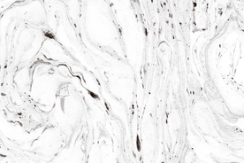 彩色背景梦幻背景