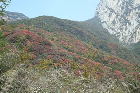 嵩山秋色