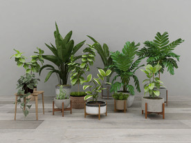 绿植盆栽3d模型