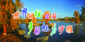 世界胡杨公园 多彩美丽沙雅