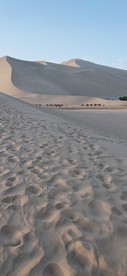 沙漠足印
