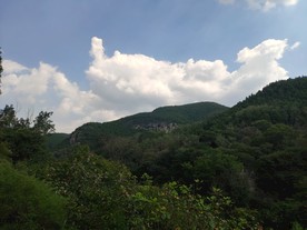 风景