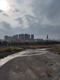 河岸