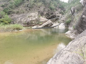 山中的水池