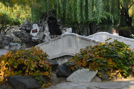 红叶风景