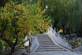 彩叶风景