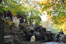 彩叶风景