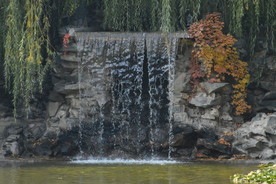 彩叶风景