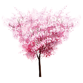樱花装饰素材