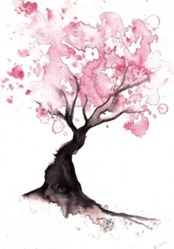 樱花装饰素材