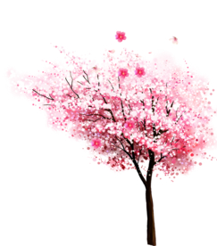 樱花装饰素材