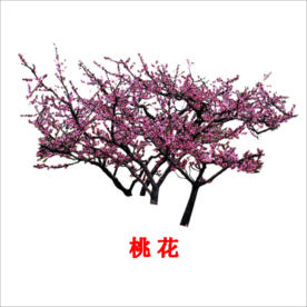手绘桃花