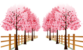 樱花装饰素材