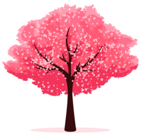 手绘樱花素材