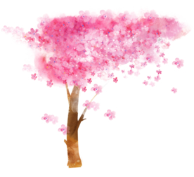 手绘樱花素材