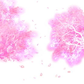 手绘樱花素材