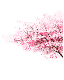 粉色樱花装饰