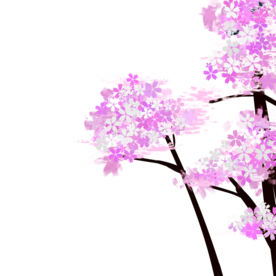 樱花装饰