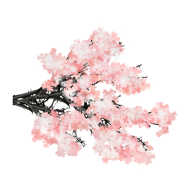 樱花素材