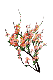 樱花素材