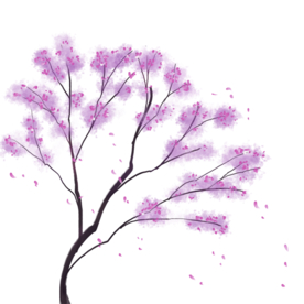 樱花素材